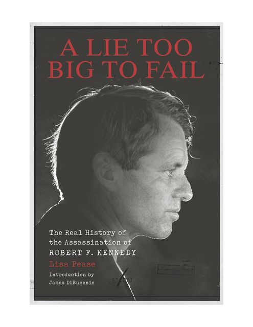 A Lie Too Big to Fail, Lisa Pease