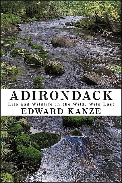 Adirondack, Edward Kanze