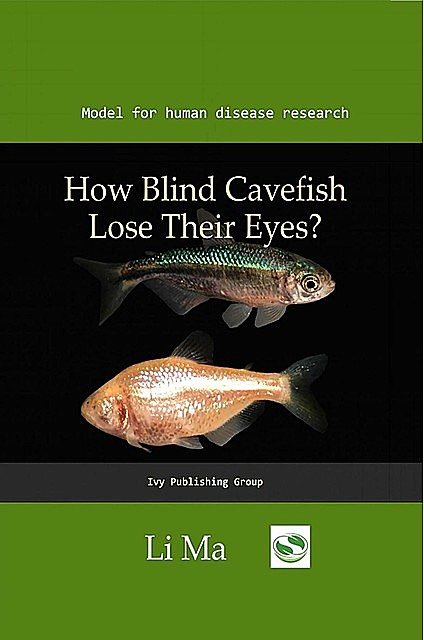 How Blind Cavefish Lose Their Eyes, Li Ma