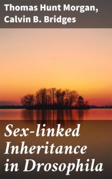 Sex-linked Inheritance in Drosophila, Calvin B. Bridges, Thomas Hunt Morgan