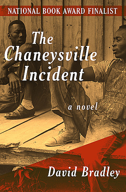 The Chaneysville Incident, David Bradley
