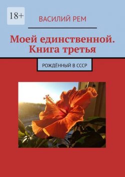Единственной. Книга третья. Рожденный в СССР, Василий РЕМ