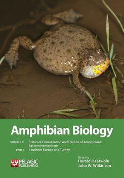 Amphibian Biology, Volume 11, Part 4, John Wilkinson, Harold Heatwole