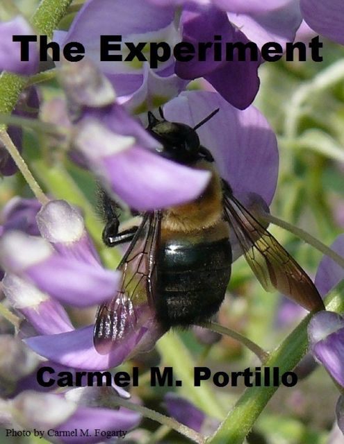 The Experiment, Carmel M.Portillo