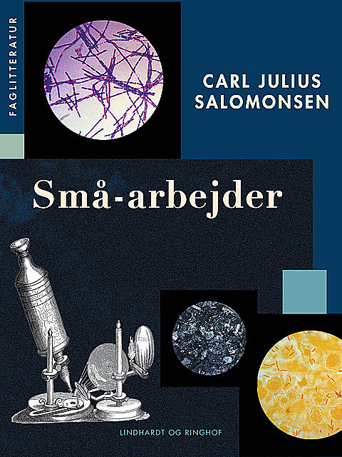 Små-arbejder, Carl Julius Salomonsen