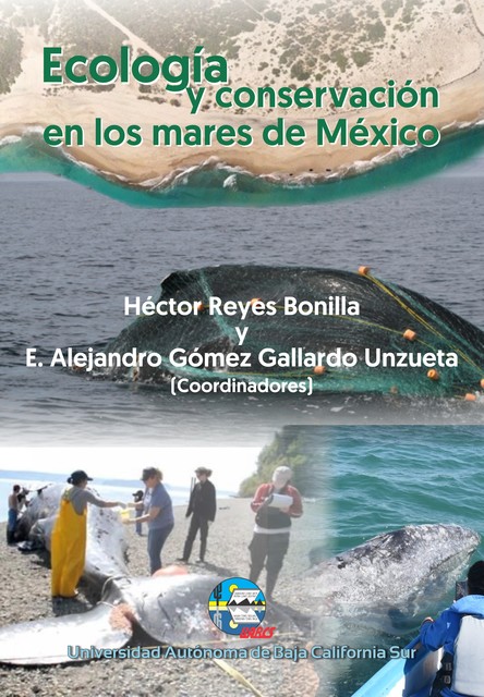 Ecología y conservación en los mares de México, Alejandra García, Jorge Ramírez, Blan, Christian Salvadeo, Daniel Carlos Trasviña, Francisco Omar López Fuerte, Gabriela Cruz Piñón, Hem Nalini Morzaria Luna, Javier Alcalá Santoyo, Karen Adame, Lorena Viloria Gómora, Pablo Hernández Almaraz