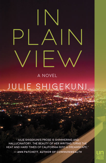 In Plain View, Julie Shigekuni