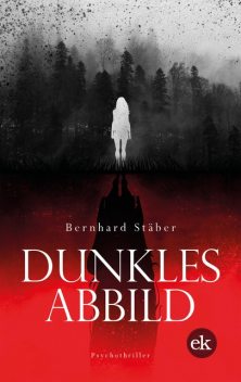 Dunkles Abbild, Bernhard Stäber