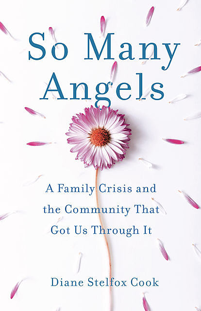 So Many Angels, Diane Cook