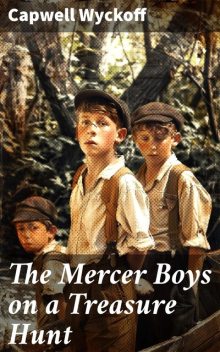 The Mercer Boys on a Treasure Hunt, Capwell Wyckoff