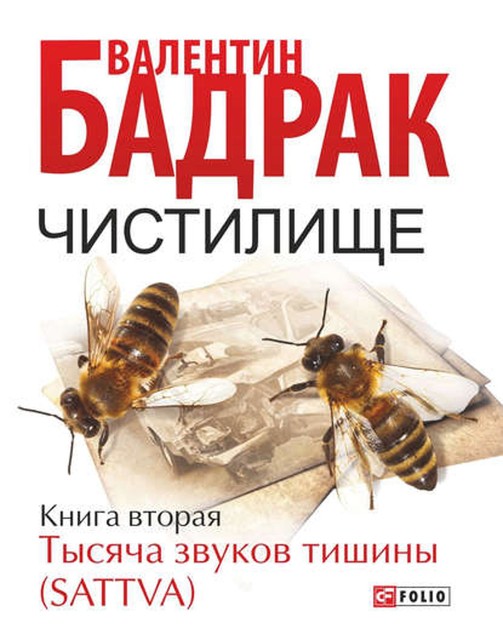 Чистилище. Книга 2. Тысяча звуков тишины (Sattva), Валентин Бадрак