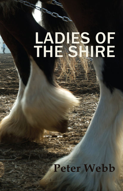 Ladies of the Shire, Peter Webb