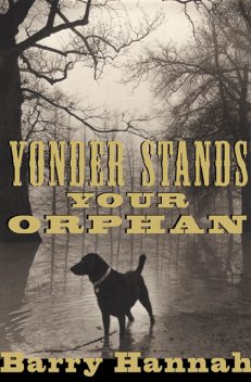 Yonder Stands Your Orphan, Barry Hannah