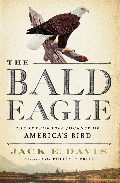 The Bald Eagle: The Improbable Journey of America's Bird, Jack E. Davis