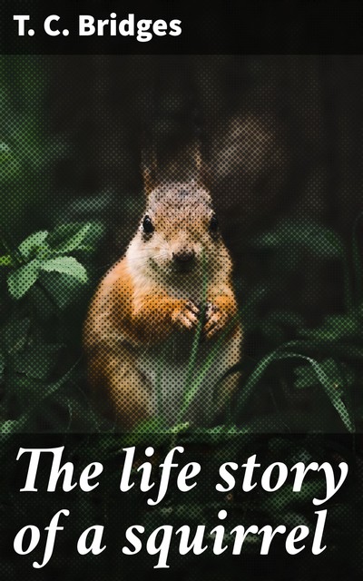 The life story of a squirrel, T.C.Bridges