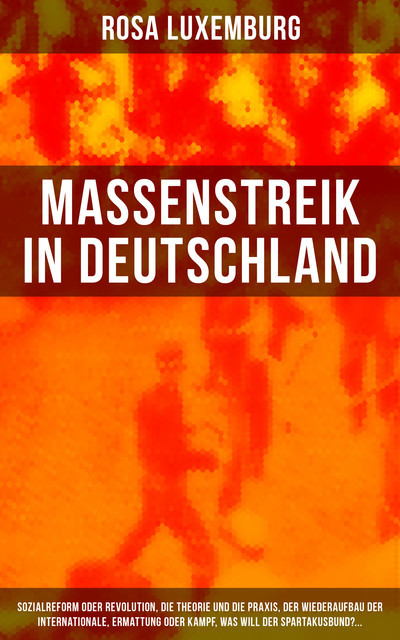 Massenstreik in Deutschland, Rosa Luxemburg