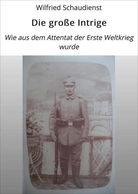 Die große Intrige, Wilfried Schaudienst