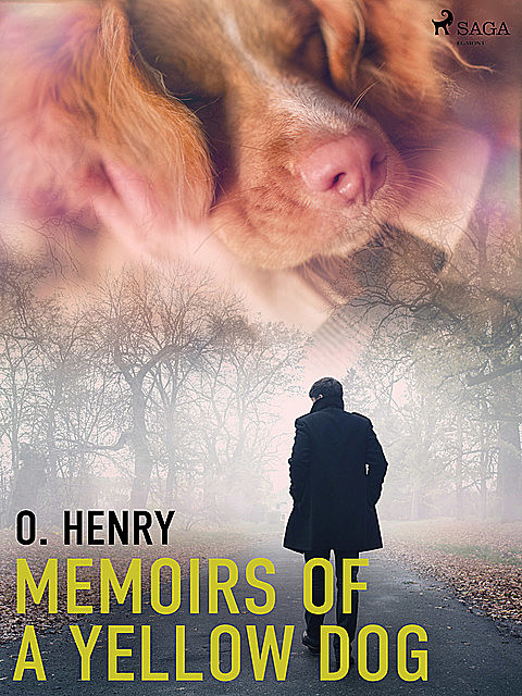 Memoirs of a Yellow Dog, O.Henry