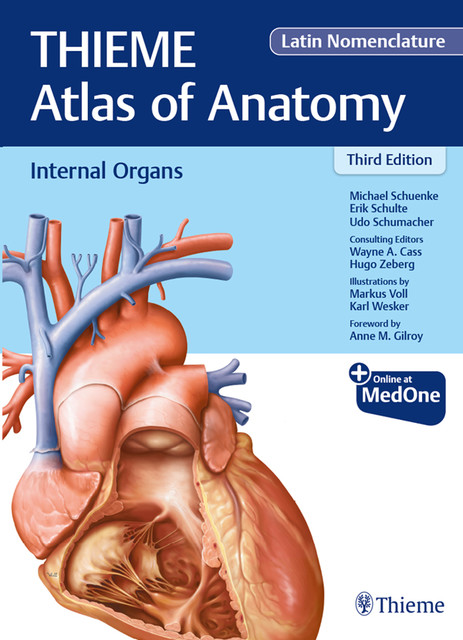 Internal Organs (THIEME Atlas of Anatomy), Latin Nomenclature, Michael Schuenke, Erik Schulte, Udo Schumacher