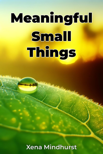 Meaningful Small Things, Xena Mindhurst