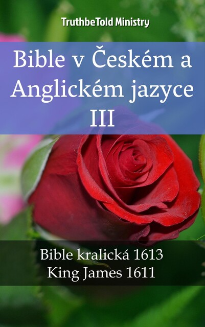 Bible v Českém a Anglickém jazyce IV, Joern Andre Halseth