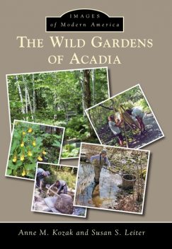 Wild Gardens of Acadia, Anne M. Kozak