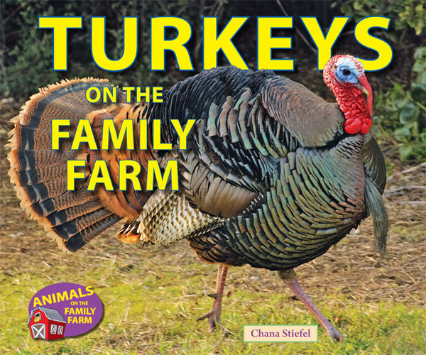 Turkeys on the Family Farm, Chana Stiefel