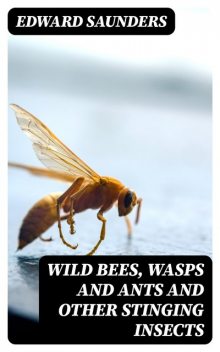 Wild Bees, Wasps and Ants and Other Stinging Insects, Edward Saunders