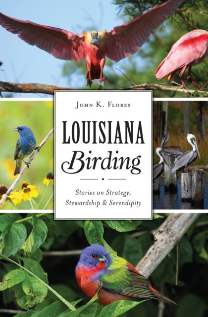 Louisiana Birding, John K. Flores