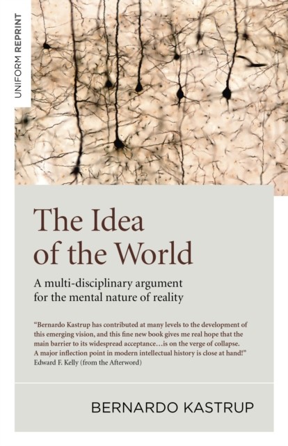 Idea of the World, Bernardo Kastrup