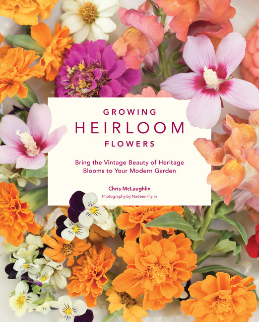 Growing Heirloom Flowers, Chris McLaughlin