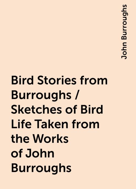 Bird Stories from Burroughs / Sketches of Bird Life Taken from the Works of John Burroughs, John Burroughs