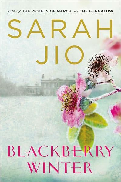 Blackberry Winter: A Novel, Sarah Jio