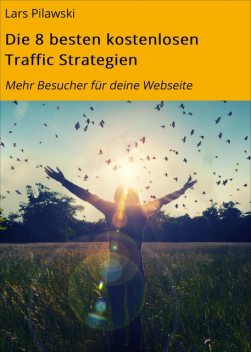Die 8 besten kostenlosen Traffic Strategien, Lars Pilawski