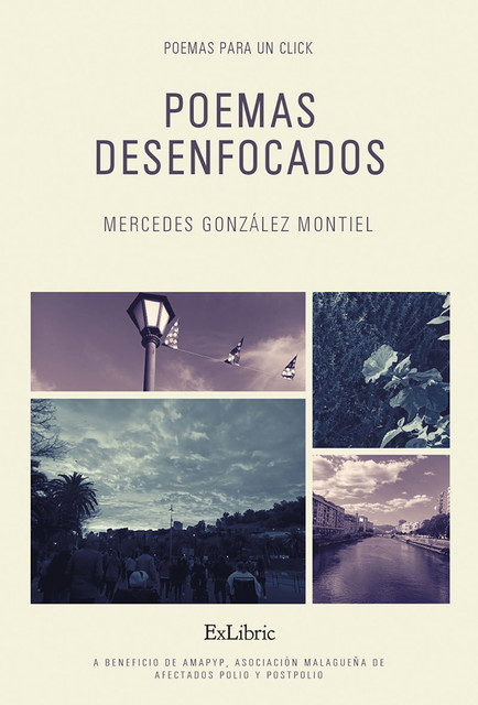 Poemas desenfocados, Mercedes González Montiel