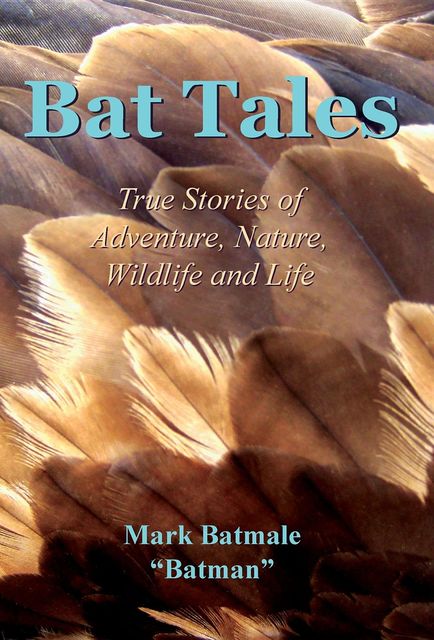 Bat Tales, Mark Batmale
