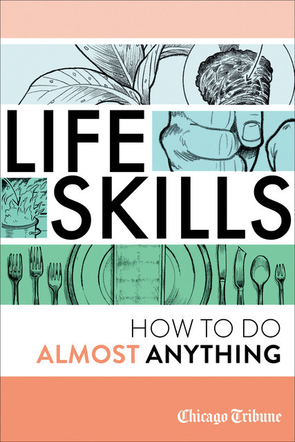 Life Skills: How To Do Almost Anything, Agate Digital