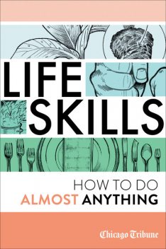 Life Skills: How To Do Almost Anything, Agate Digital