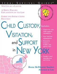 Child Custody, Visitation and Support in New York, Brette McWhorter Sember
