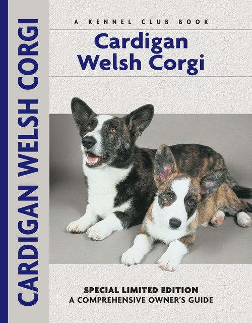 Cardigan Welsh Corgi, Richard Beauchamp