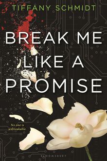 Break Me Like a Promise, Tiffany Schmidt