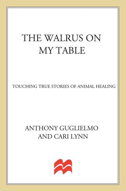 The Walrus on My Table, Cari Lynn, Anthony Guglielmo