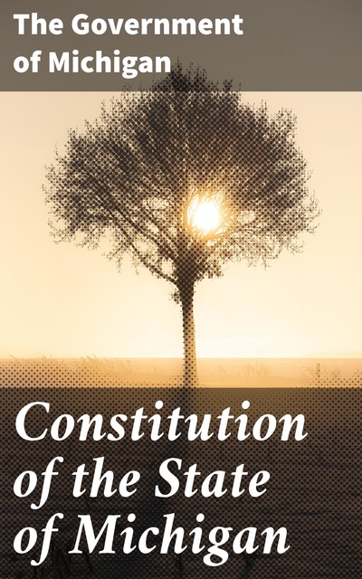 Constitution of the State of Michigan, The Government of Michigan