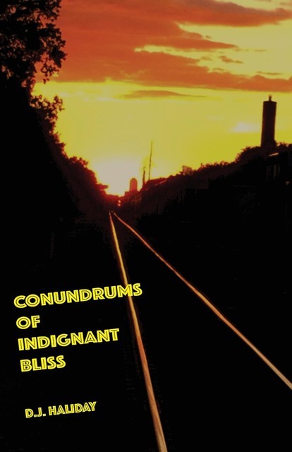 Conundrums of Indignant Bliss, D.J. Haliday