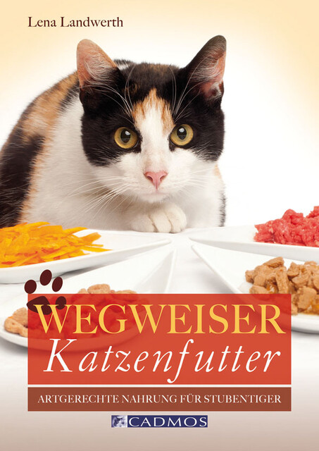 Wegweiser Katzenfutter, Lena Landwerth