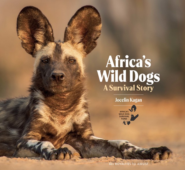 Africa's Wild Dogs, Jocelin Kagan