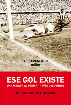Ese gol existe, Aldo Panfichi