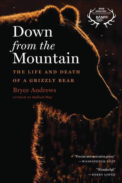 Down from the Mountain, Bryce Andrews