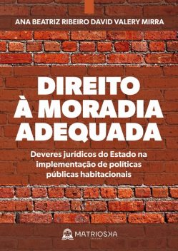 Direito à moradia adequada, Ana Ribeiro, David Valery Mirra