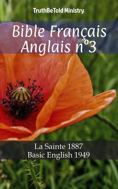 Bible Français Anglais n°3, Joern Andre Halseth